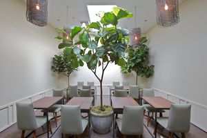 Atelier Crenn Opens in Cow Hollow on Friday January 21st