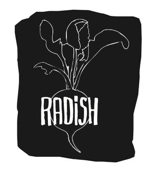 Sneak Peek at Radish's Daytime Menu