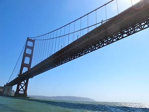 Special Menus at Presidio Social Club, A16, Spruce, and More