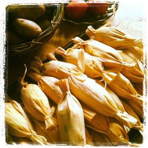 510 News: Nido in Oakland, Turkish Kitchen in Berkeley, Hopscotch, More