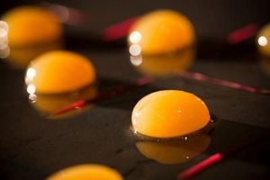 Butterfly Dinner with "Demon Chef" Alvin Leung