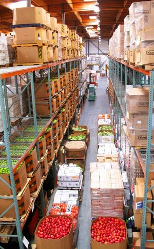 Some Ways to Give Back During the Holidays