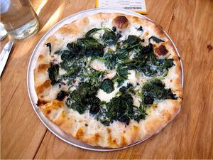 Expansions South of San Francisco