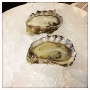 Recent Openings: Mission Street Oyster Bar, Zoe's, Nabe, and More