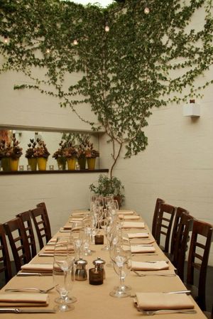 Book Your Table for Festa Della Donna at A16 on March 8th!