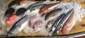 Join Carrotmob in Supporting Sustainable Sushi