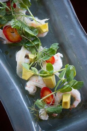 Fog City Opening September 23rd; Sneak Peek at a Benefit Event on the 19th