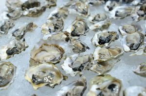 Third Annual Oyster Bash at B Restaurant Coming Up Saturday August 23rd