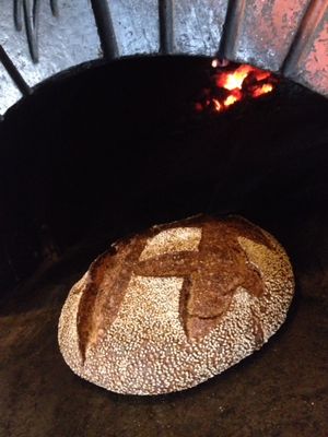 The Growlers' Arms, an Oakland Gastropub from Seamus and Shelley Mulhall, About to Open