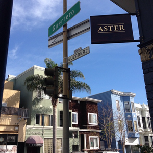 Aster, from Brett Cooper and Daniel Patterson Group, Opening March 31st