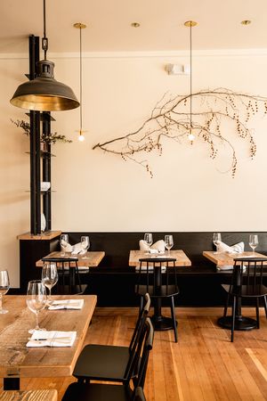 Opening Update This Week: Octavia and Aatxe