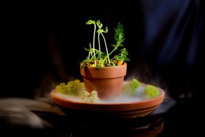 Some Ways to Help with the Earthquake in Nepal, Plus Local Children