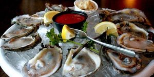 Plan on Eating Some Oysters Next Week