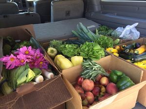 PSA: What to Do With Extra Holiday Food and Other Ways to Help Out this Season