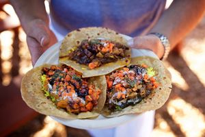 New Casual Openings: Dabba, What the Cluck, Casa De La Condesa