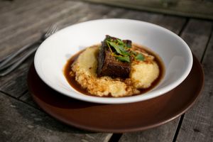 510 Updates: Mockingbird's New Nest, Drip Line, Old Kan, Lunch at The Wolf