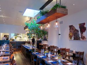 The Stylish Sorrel Now Open in Laurel Heights