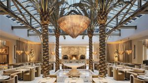 New Openings Include The Palm Court, Mom Dumpling, Elephant Sushi Hayes Valley, Aedan Fermented Foods, Savor, and Much More