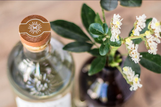 Upcoming Wine, Mezcal, and Beer Dinners