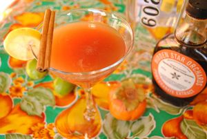 Booze News: Elixir Turns 10 (and 155), Punch at the Ferry Plaza, Give Back the Bird