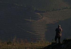 Film Screening and Portuguese Wine Tasting Tomorrow