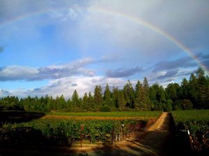 Wine Events: Around the World in 80 Sips this Friday, Howell Mountain Wine Tasting at Bently Reserve March 19th,