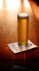 SF Gets to Party on Köln and Düsseldorf Nights