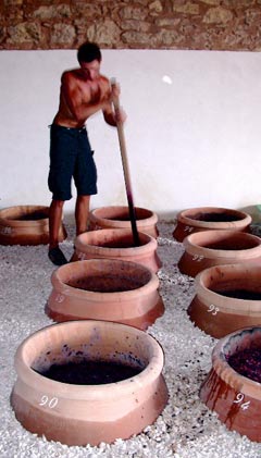 tablehopper wine tasting