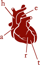 Heart
