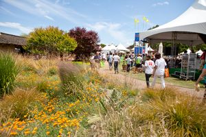 Sunset's Celebration Weekend 2010 is June 5th-6th