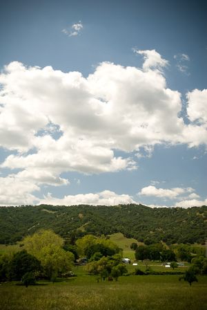 Butchery Demo and Fundraising Dinner at Soul Food Farm