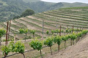 Dinner with Chef Thomas McNaughton at Devil's Gulch Ranch