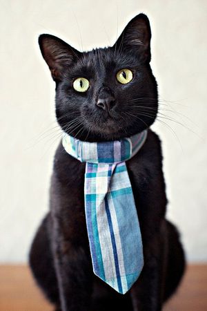 Papa Time: Ways to Celebrate Father's Day