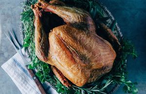 Our Annual Turkey Time Roundup