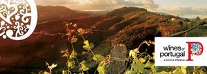 Engage your senses with the wines of Portugal on June 4th