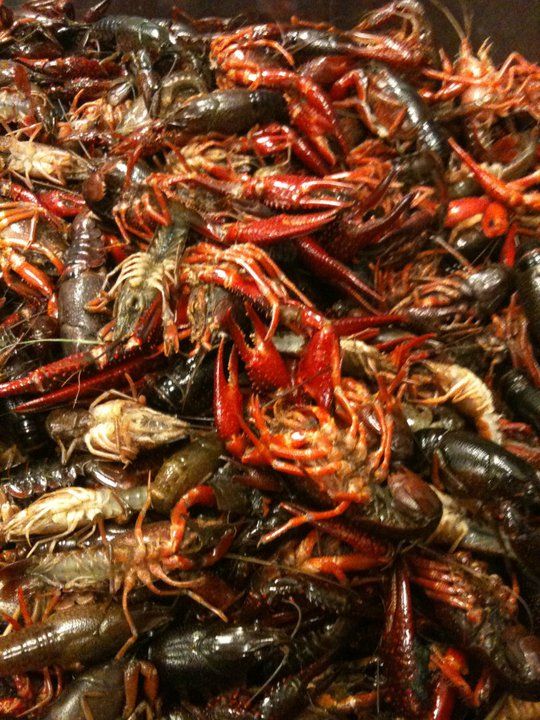 02_Boxing_room_Crawfish.jpg