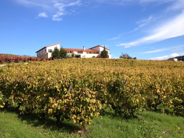 eugenio-houseandvineyards.JPG